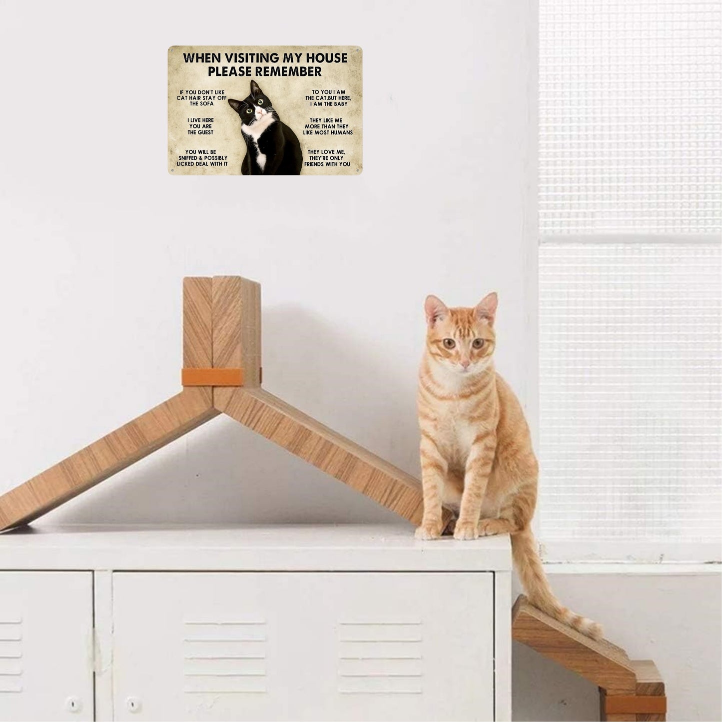 1pc, Cat - House Rules - Metal Tin Sign (11.81"x7.87"/30x20cm)