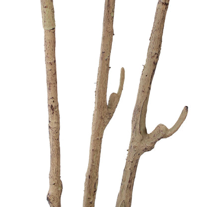 6ft Artificial Olive Plant in White Pot