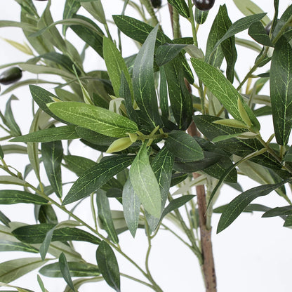 6ft Artificial Olive Plant in White Pot