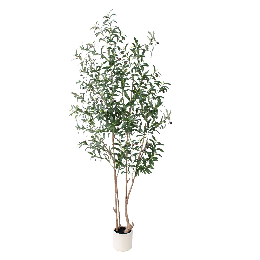 over 6ft Artificial Olive Plant in White Pot