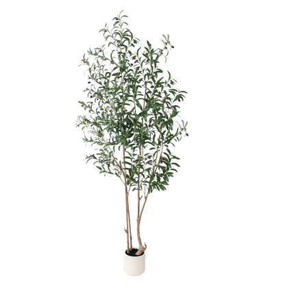 over 6ft Artificial Olive Plant in White Pot
