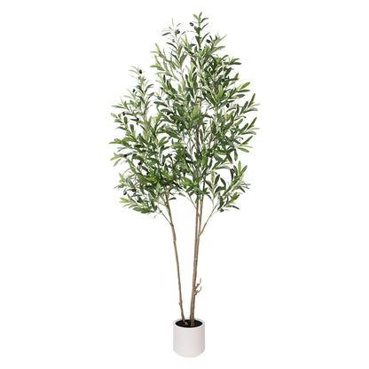 6ft Artificial Olive Plant in White Pot