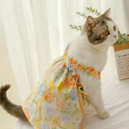 Floral Dresses Cats and Dogs
