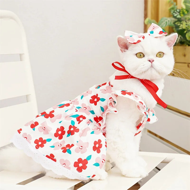 Pet Dress Fashion.