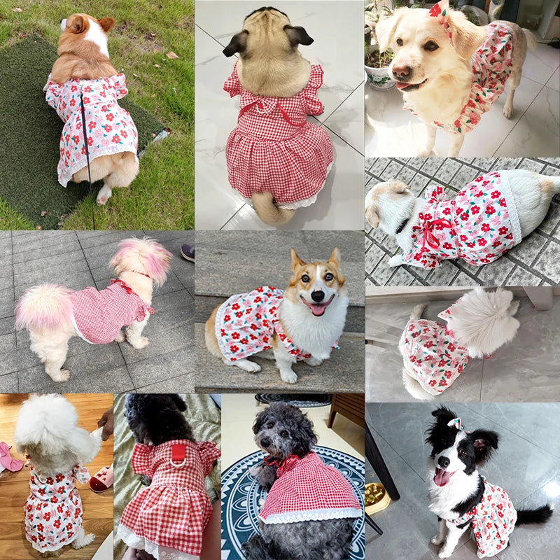 Princess Dresses For Pets