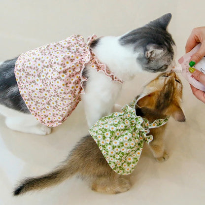 Floral Dresses Cats and Dogs