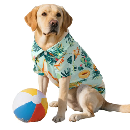 Pet Summer or Vacation Wear