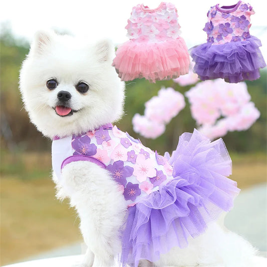 Lace Chiffon Dress For Small Dogs