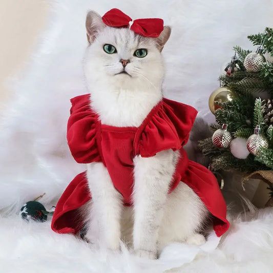 Pet Dresses perfect for Christmas