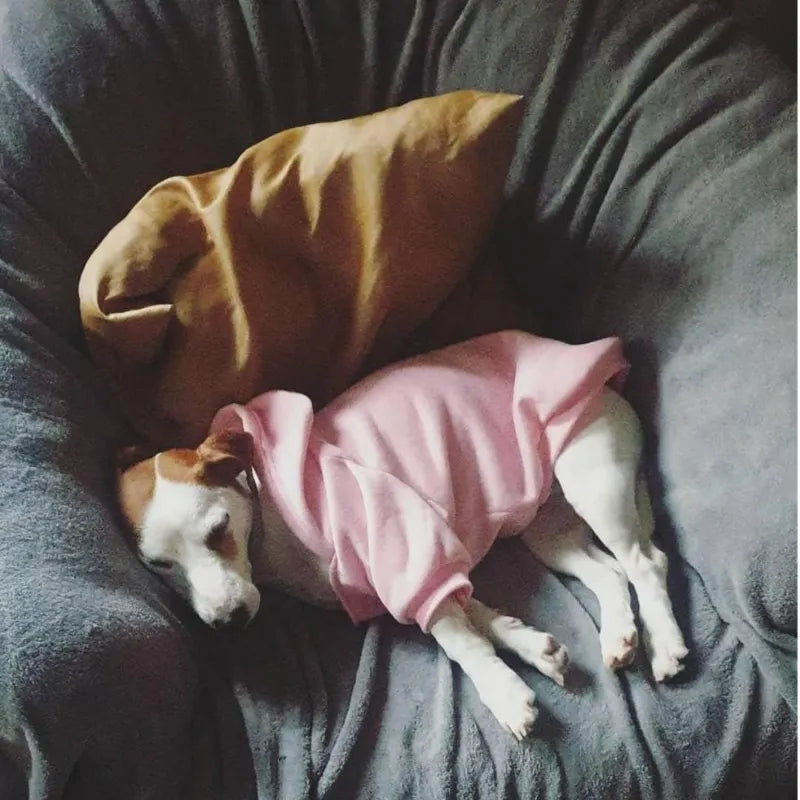 Dog Hoodies - The Dog Face Wind Coat