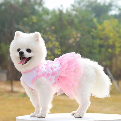 Lace Chiffon Dress For Small Dogs