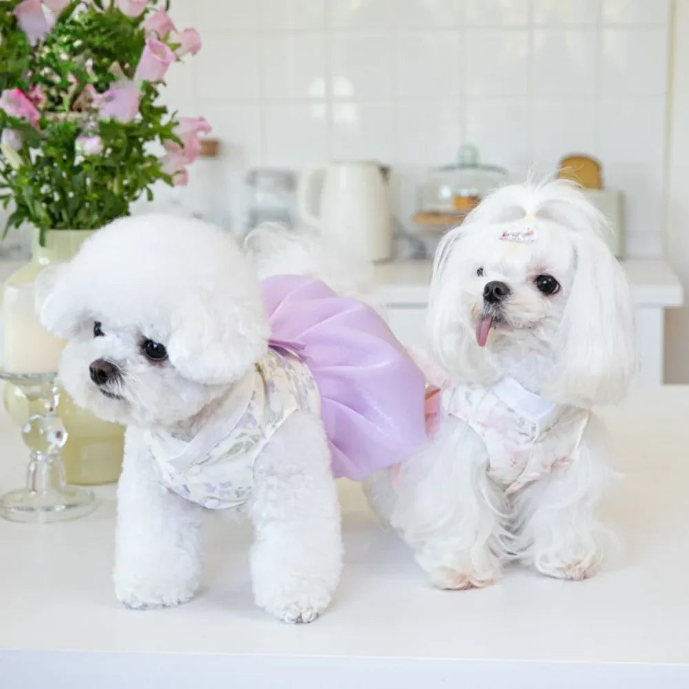 Pet Dress Clothing
