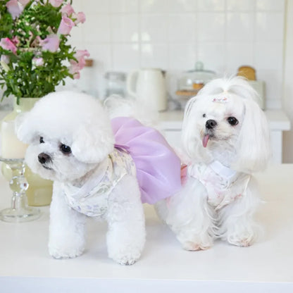 Pet Dress Clothing