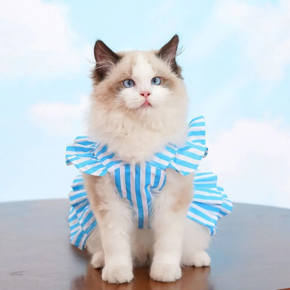 Pet Clothes with Princess Skirt