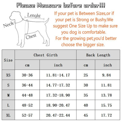 Winter Warm- Knitted Sweater