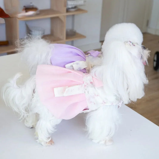 Pet Dress Clothing
