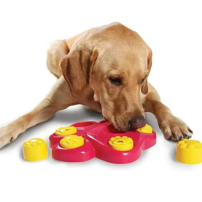 Dog Food -Educational Toy