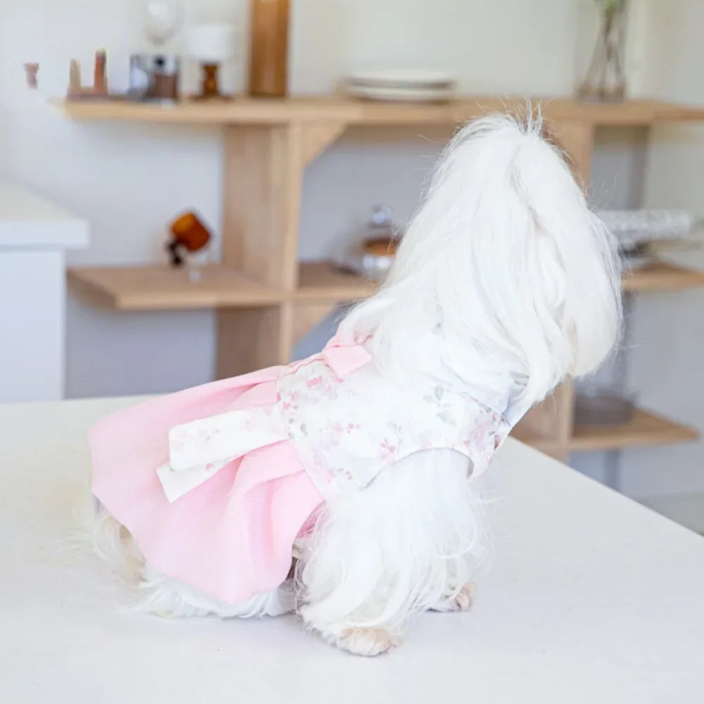 Pet Dress Clothing