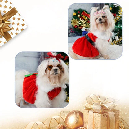 Christmas Dog dress