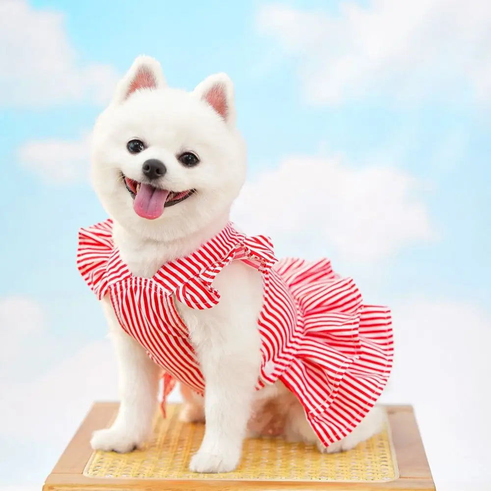 Pet Clothes with Princess Skirt