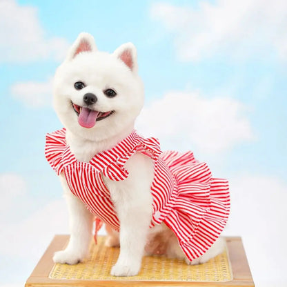 Pet Clothes with Princess Skirt
