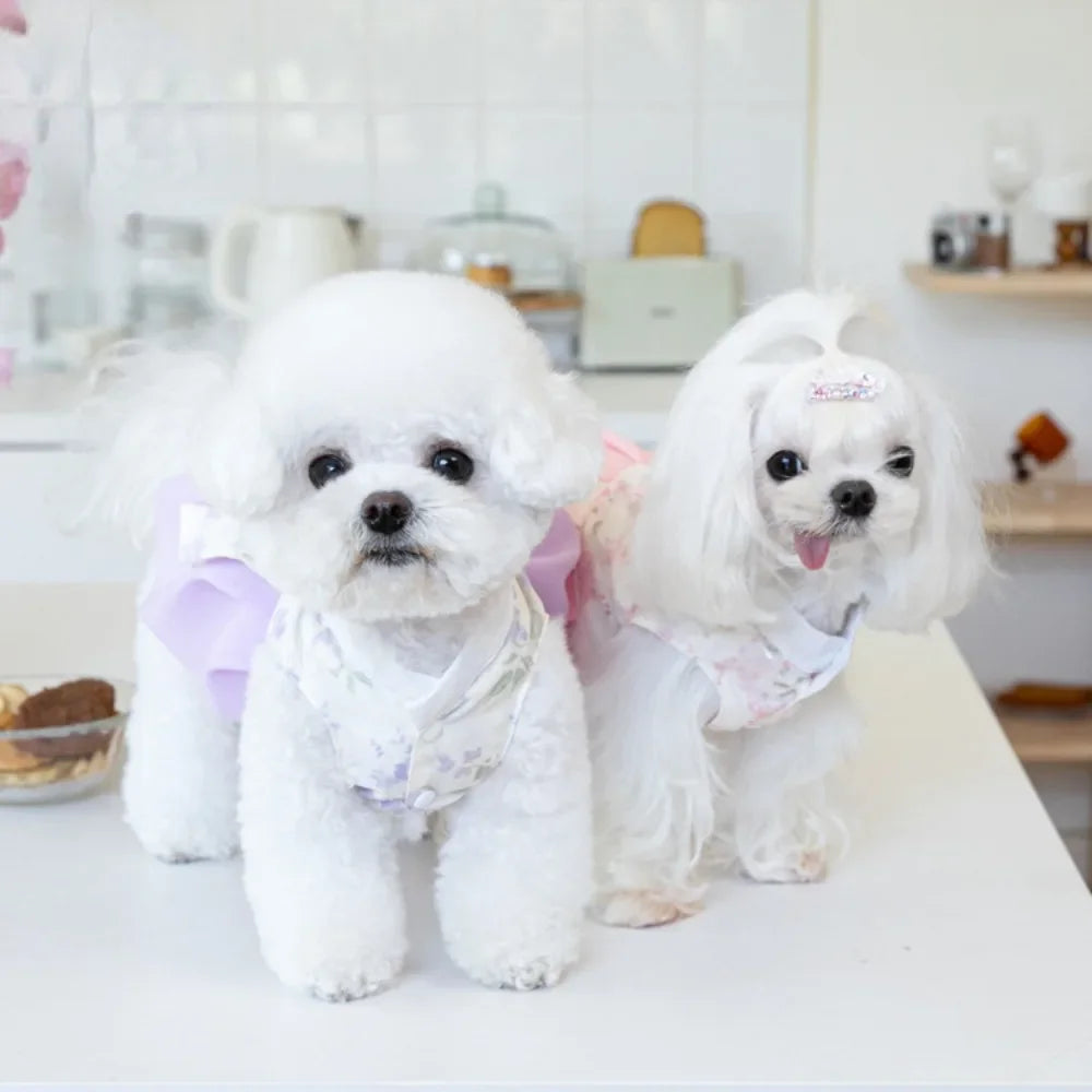 Pet Dress Clothing