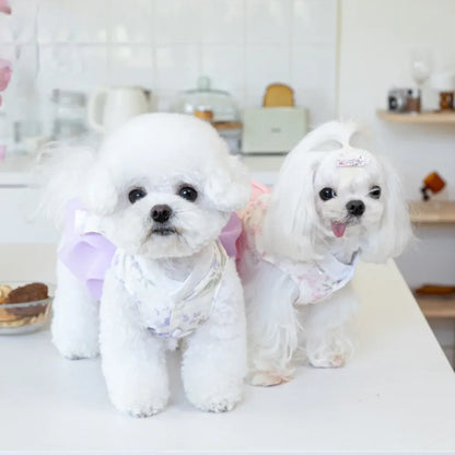 Pet Dress Clothing